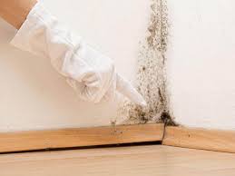 Why You Should Choose Our Mold Remediation Services in West Simsbury, CT